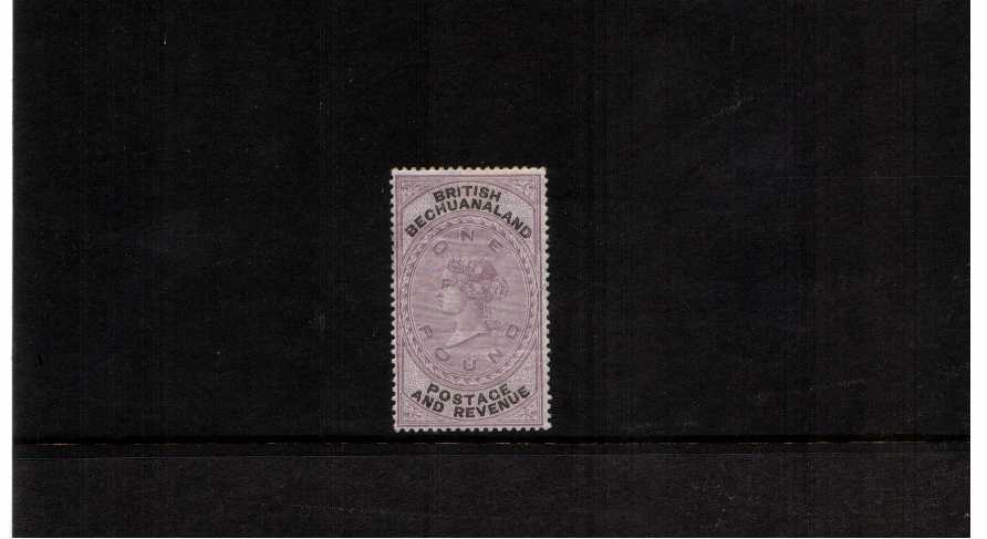 superb lightly mounted mint stamp with full original gum