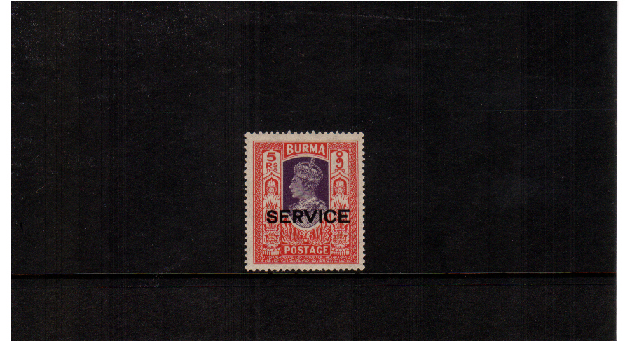 superb unmounted mint single