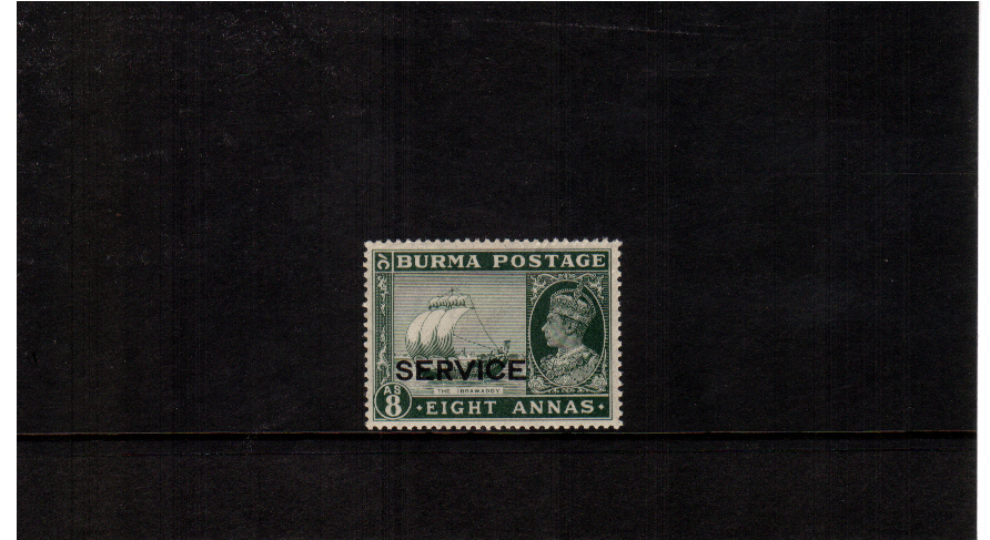 superb unmounted mint single