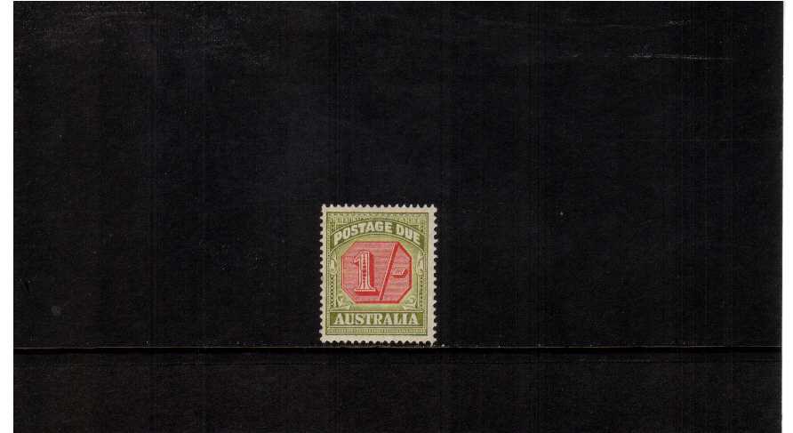 superb unmounted mint single