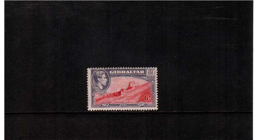 perforation 13� - superb unmounted mint single