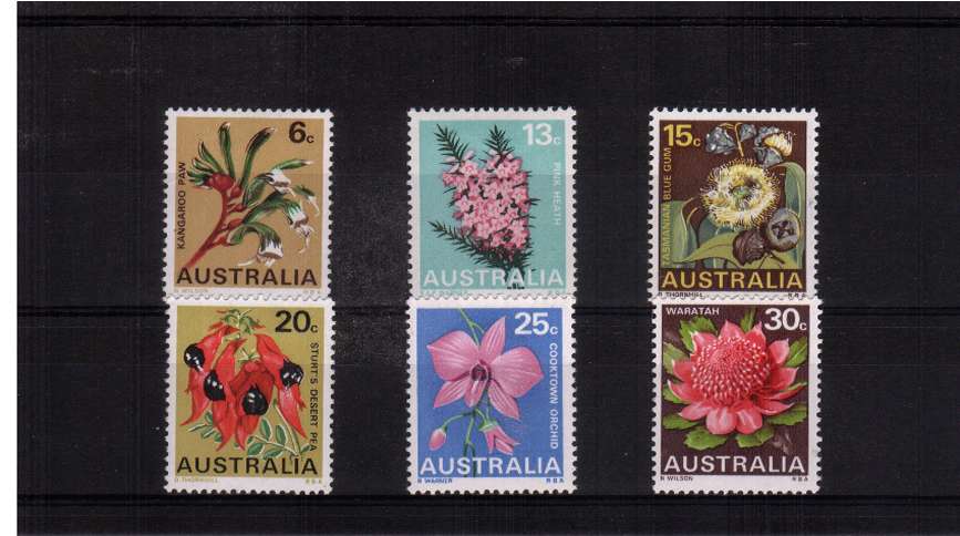 Flowers mounted mint set of six