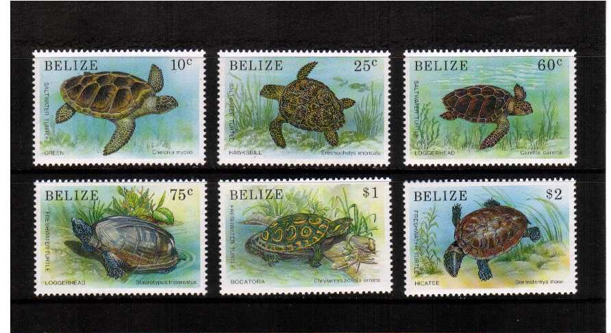 Turtles set of six superb unmounted mint