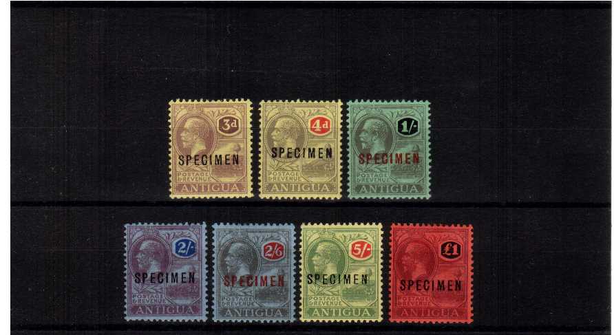 A fine complete set of 7 SPECIMENS