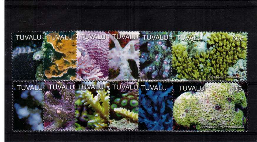 Sea Corals set of twelve superb unmounted mint.<br/><b>ZQC</b>