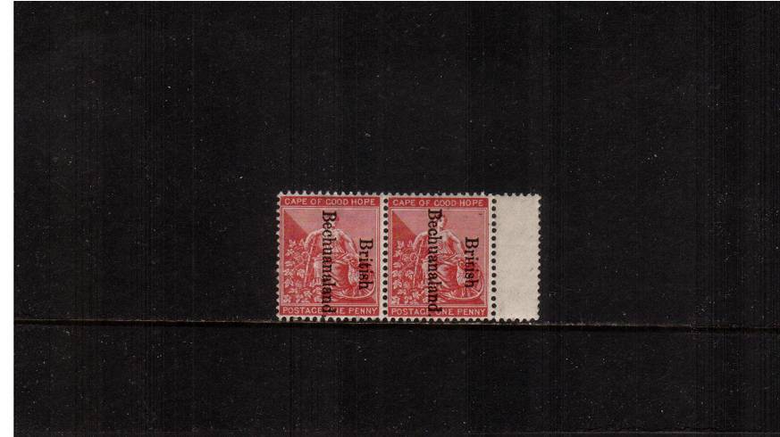 1d Carmine-Red - Overprint reads Downwards<br/>
A superb unmounted mint right side marginal pair.
<br/><b>QVQ</b>