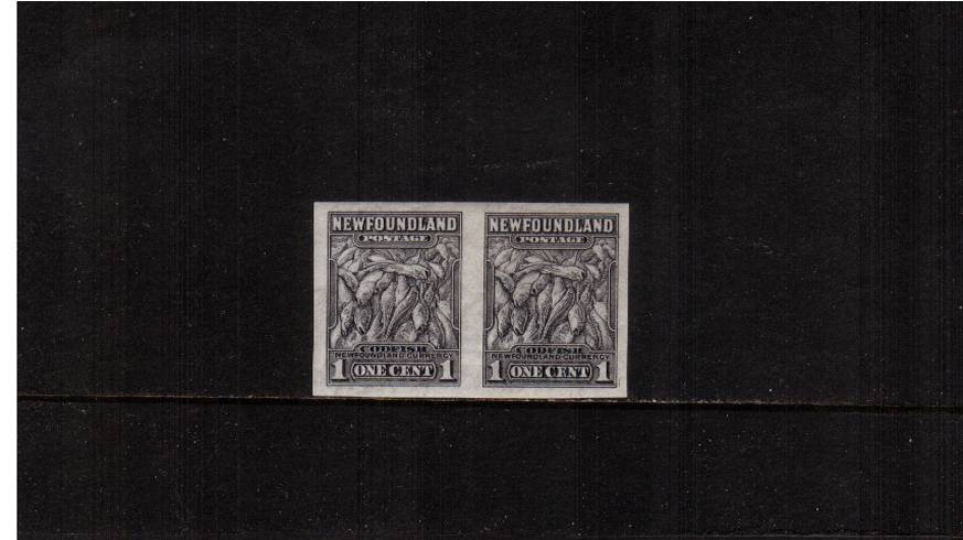 1c ''Atlantic Cod'' in a fine lightly mounted mint imperforate pair with large margins.<br/><b>QYQ</b>
