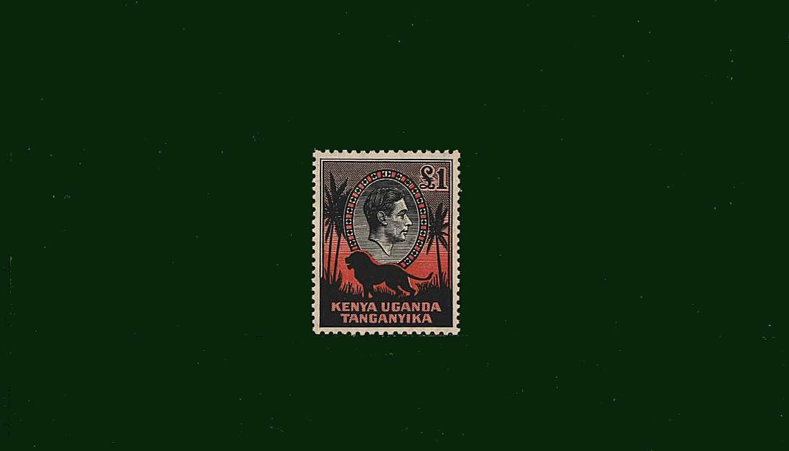 £1 Black and Red<br/>
Perforation 11 3⁄4 x13<br/>
The first printing stamp superb unmounted mint.<br/>
A rare stamp seldom seen especially unmounted!
<br/><b>BBD</b>