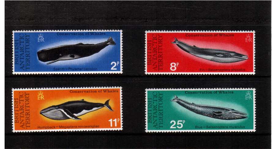Whales - superb unmounted mint set of four