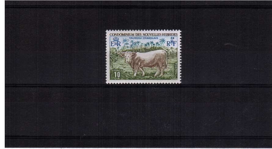 10F Charolais Bull single superb unmounted mint