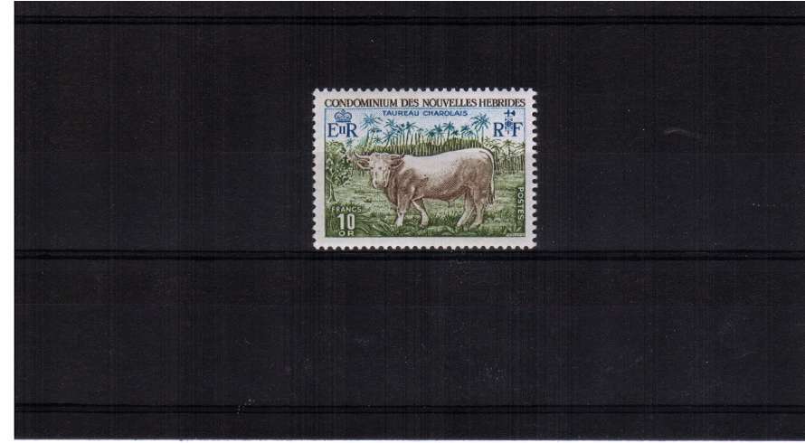 10F Charolais Bull single superb unmounted mint