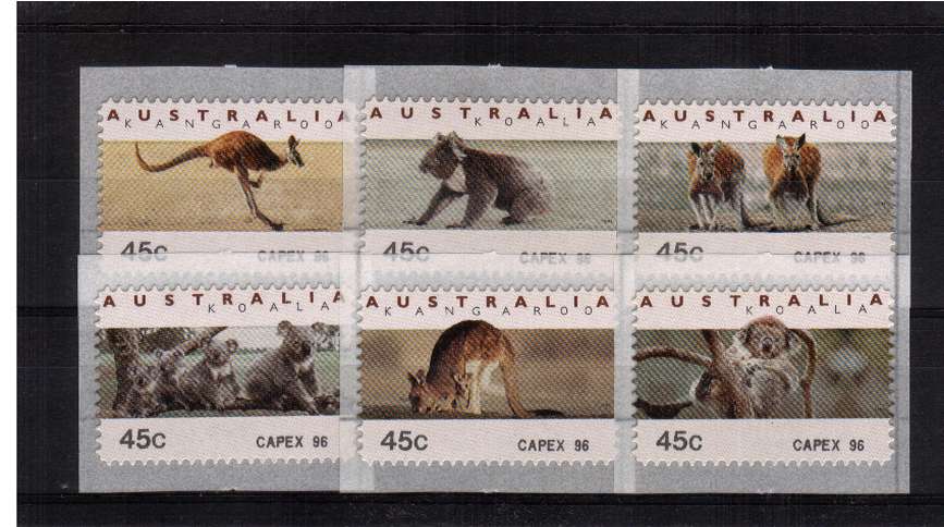 COUNTER PRINTED STAMPS<br/>
Koalas & Kangaroos <br/>Complete set of six self adhesive bearing imprint on SE corner for CAPEX 96<br/>Issue Date: 8 JUNE 1996