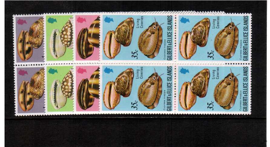 Sea shells set on superb unmounted mint blocks of four