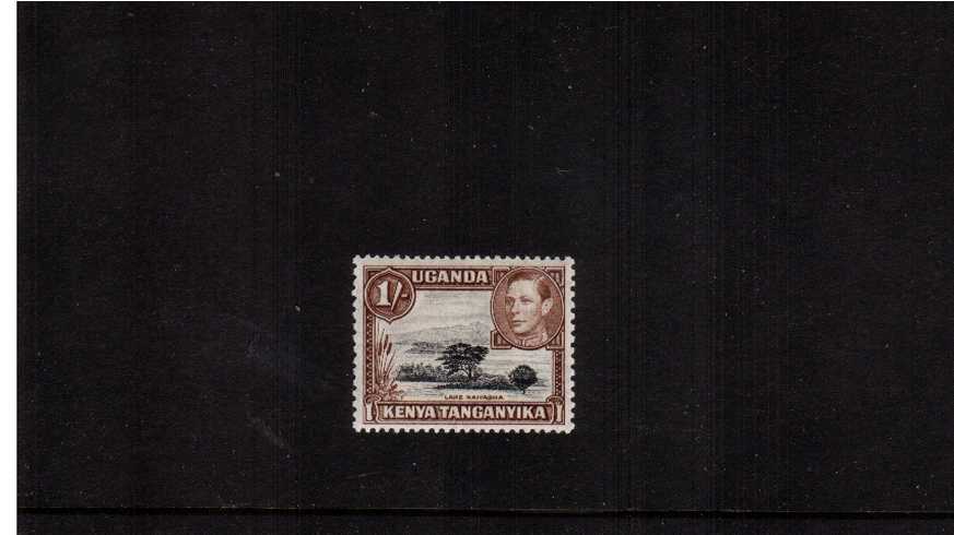 1/- Black and Brown definitive single - Perforation 13x11><br/>A superb unmounted mint single.