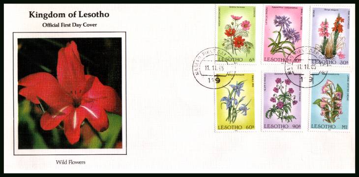 Wild Flowers<br/>on an unaddressed official illustrated First Day Cover