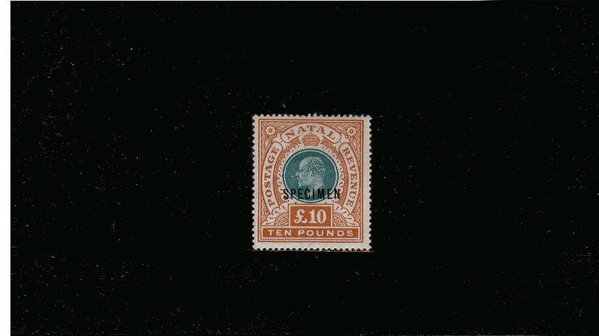 10 Green and Orange overprinted ''SPECIMEN''<br/>
 A fine lightly mounted mint bright and fresh stamp. Gem!<br/>SG Cat with no overprint 18,000 with overprint 475
<br/><b>QVQ</b>