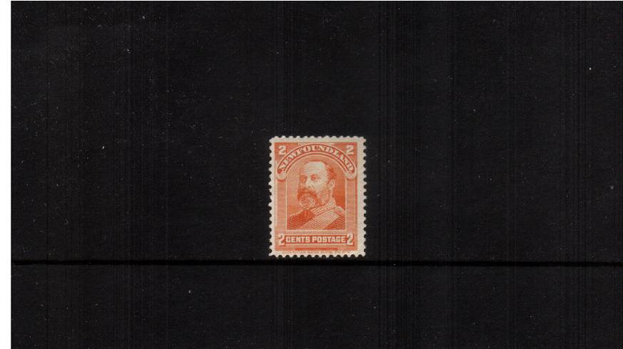 2c Orange - King Edward<br/>
A superb unmounted mint single.