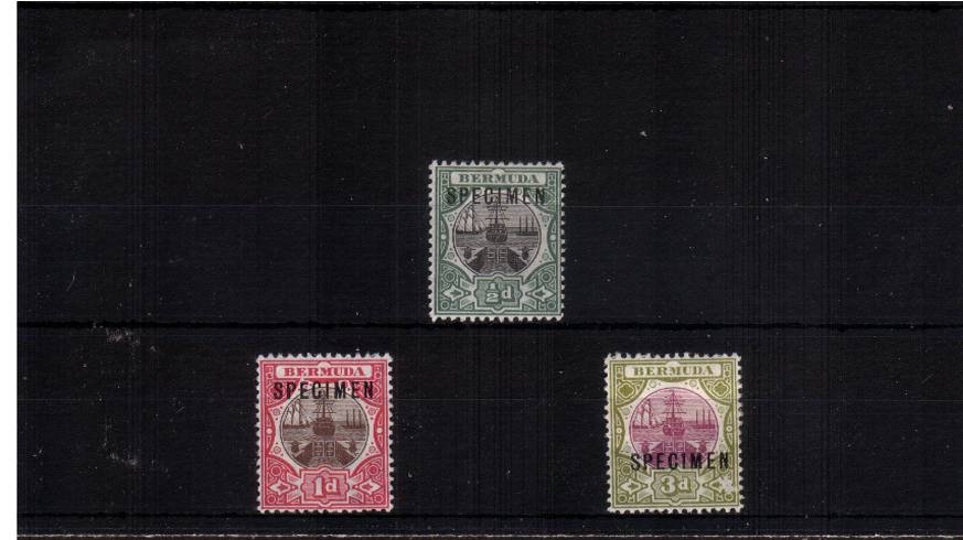 The Watermark Crown CA set of three overprinted ''SPECIMEN'' mounted mint. SG Cat 150
<br/><b>QGX</b>