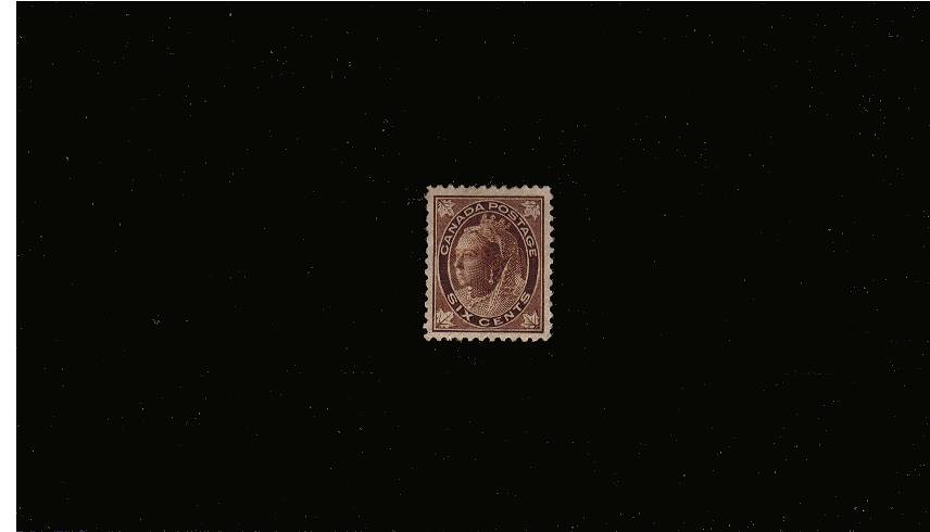 6c Brown ''Maple Leaf'' single<br/>
A good mounted mint single SG Cat 60.00
<br/><b>QJX</b>