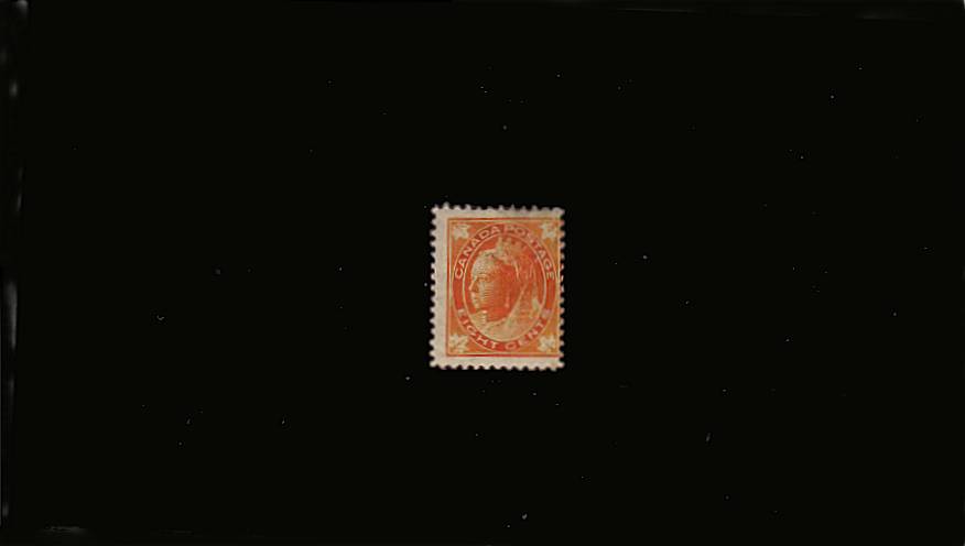 8c Orange ''Maple Leaf'' single<br/>
A mounted mint single SG Cat 85.00
<br/><b>QJX</b>