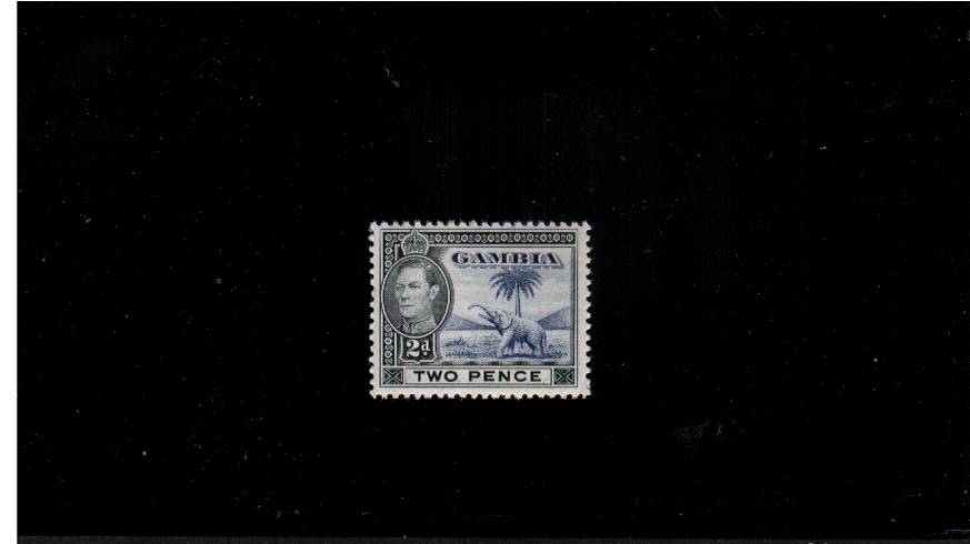 George 6th 2d Blue and Black<br/>
Elephant - A superb unmounted mint single.
<br/><b>QLX</b>