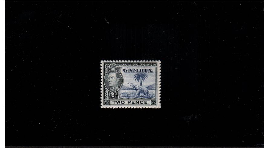 George 6th 2d Blue and Black<br/>
Elephant - A superb unmounted mint single.
<br/><b>QLX</b>