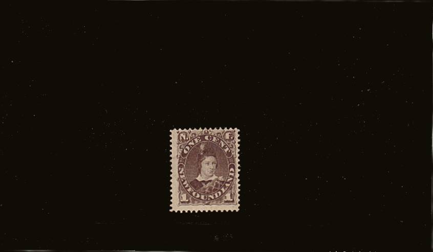 1c Dull Grey-Brown<br/>
A fine and fresh lightly mounted mint single. SG Cat 50 

<br/><b>QQQ</b>