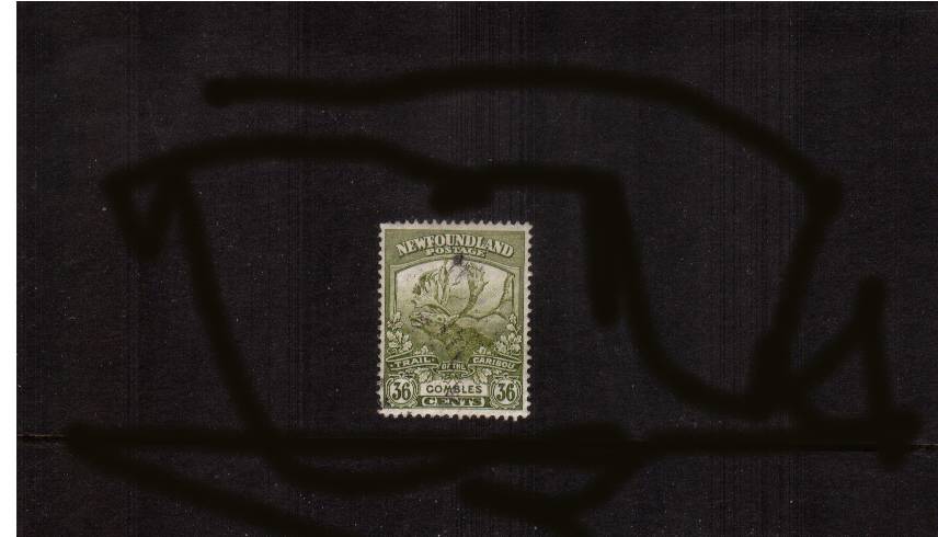 Newfoundland Contingent<br/>
36c Sage-Green a good used single. SG Cat 50
 <br/><b>QQQ</b>