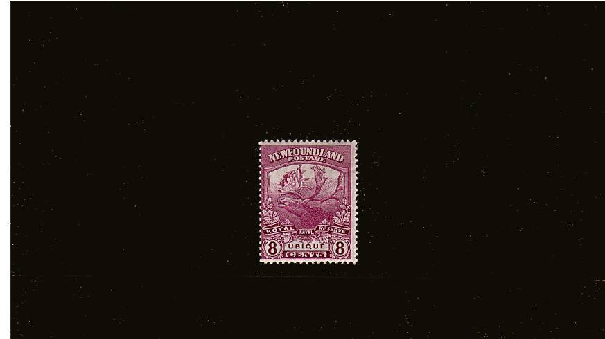 Newfoundland Contingent<br/>
8c Bright Magenta lightly mounted mint single SG Cat 19
 <br/><b>QQQ</b>