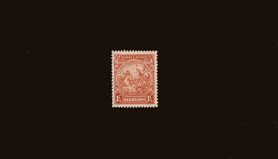 1½d Orange - Perforation 13x12<br/>A superb unmounted mint single
<br/><b>QQS</b>