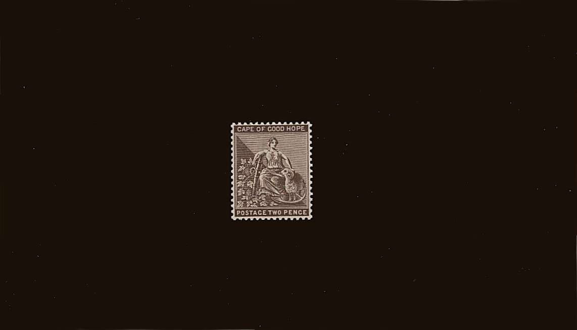 2d Deep Bistre<br/>A superb unmounted mint single. Perfect!!<br/><b>QQS</b>