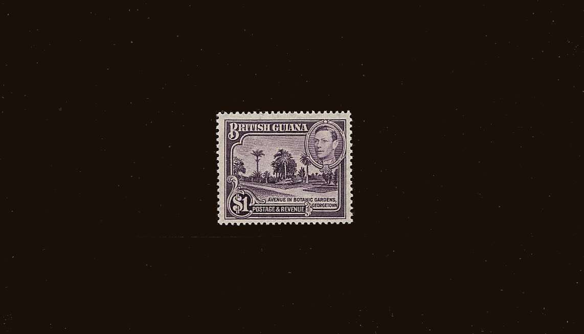 $1 Bright Violet - Perforation 14 x 13<br/>A superb unmounted mint, bright and fresh example of this rare stamp.<br/>SG Cat £550
<br/><b>QQU</b>