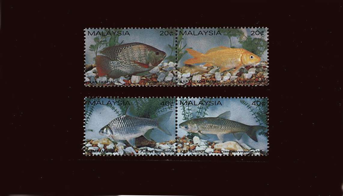Freshwater Fish<br/>
Set of four in se-tenant pairs<br/>
Perforation 13½x14<br/>
Superb unmounted mint