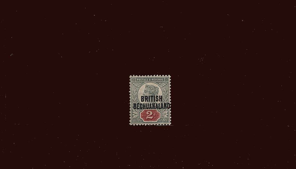 2d Grey-Green and Carmine<br/>
A superb lightly mounted mint single.
<br/><b>BBM</b>