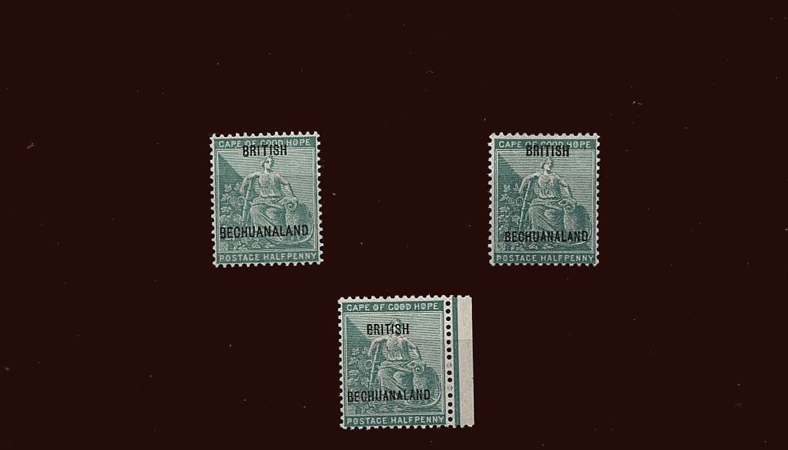 d Yellow-Green set of three showing the three different overprints<br/>of the three different printers ali fine lightly mounted mint.<br/>SG Cat 69.50 
<br/><b>BBM</b>