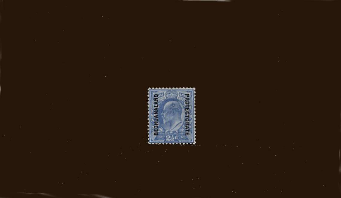 2½d Ultramaine<br/>
A superb lightly mounted mint single.<br/>
SG Cat £12
<br/><b>BBM</b>