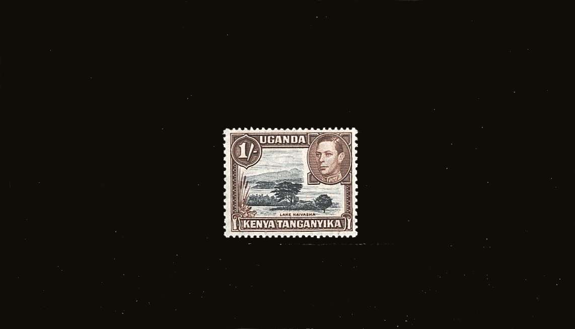 1/- Black and Brown definitive single - Perforation 13x11�.<br/>
A superb unmounted mint single.
